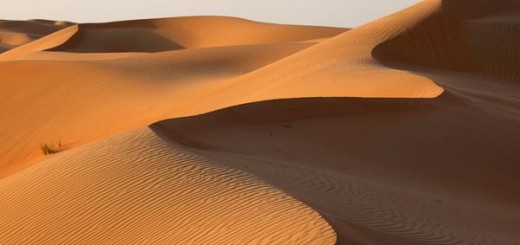 padang-pasir